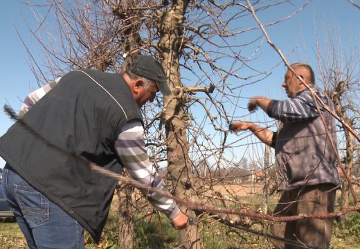 Voćari traže veće podsticaje