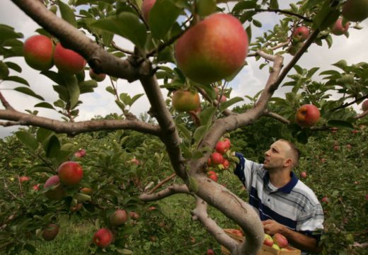 Manji porez na sezonce