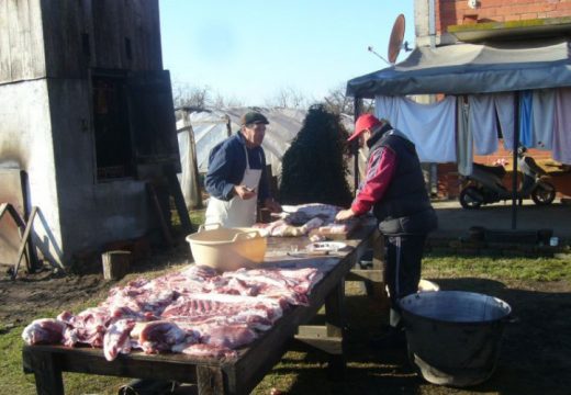 Za tovljenika ode i prosječna plata