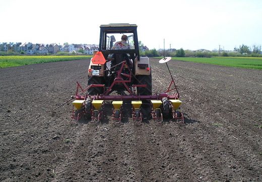 Ratari spas našli u sjemenu “sa tavana”