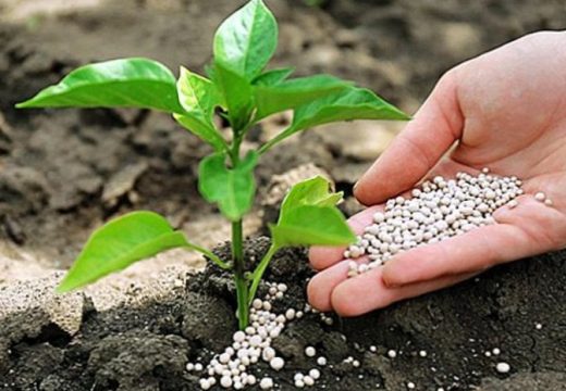 Turska kompanija mjerka lokacije u BiH za gradnju fabrike gnojiva