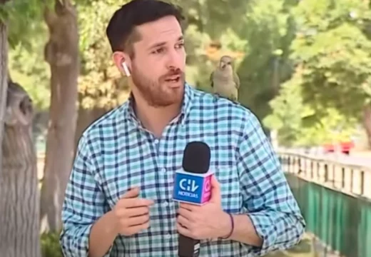 “Opljačkan” u programu uživo (Video)