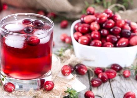 Zdravstvene prednosti čaja od brusnice