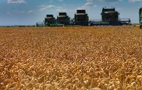 Agrarni budžet za narednu godinu 180 miliona KM