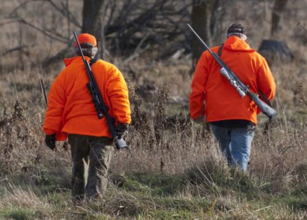 Mučenje divljači kažnjivo i do 200.000 KM