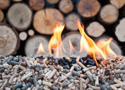 Cijena peleta pod budnim okom inspekcije