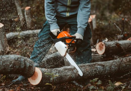 Jagma za jeftinim drvetom iz šuma u RS napravila haos na tržištu