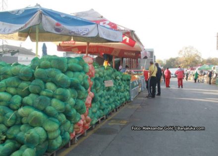 Još nije kasno za ukiseliti kupus (Foto)