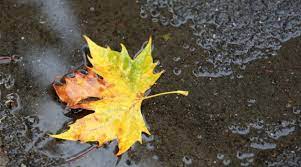 Danas pretežno oblačno vrijeme sa slabom kišom