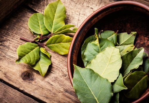 Zapalite list lovora u svom domu i iznenadićete se pozitivnim efektima