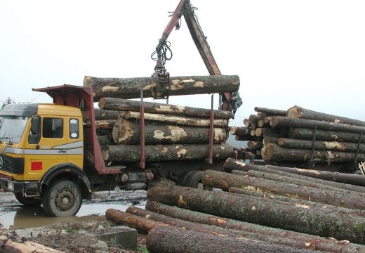 “Šume Srpske” taoci izvođača radova