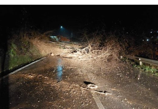 Uviđaj u Novom Gradu potvrdio da nema elemenata krivičnog djela