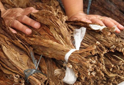 Proizvođači duvana upisali još jednu tešku godinu