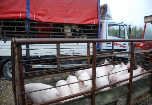 Podignuta rampa oživjela bi poluprazne farme