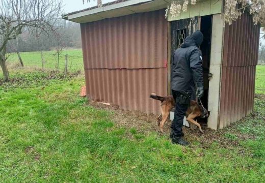 Akcija “Fjudžitiv”: Predložen pritvor za pet uhapšenih