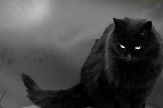 Ovo je sedam najbizarnijih sujevjerja kod našeg naroda