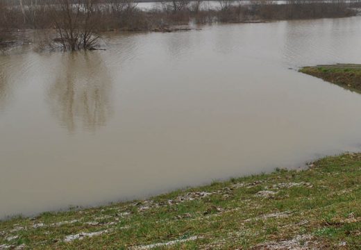 Vodostaj Save premašio sedam metara