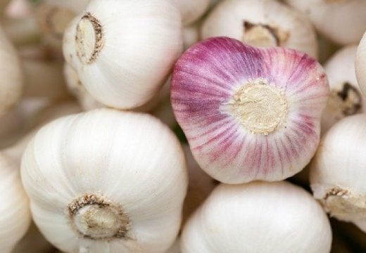 Bijeli luk rizičan za ove četiri grupe ljudi