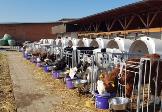 Tursko tržište prilika koju treba iskoristiti