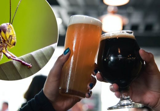 EU donijela istorijsku odluku – od sada insekti na meniju