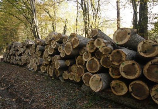 Oglas za prodaju drva izazvao haos na društvenim mrežama