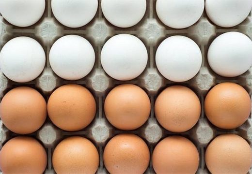 Koja je razlika između smeđih i bijelih jaja?