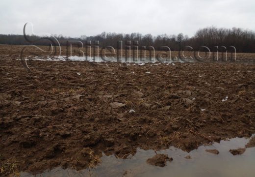 Komisija procjenjuje štete na usjevima