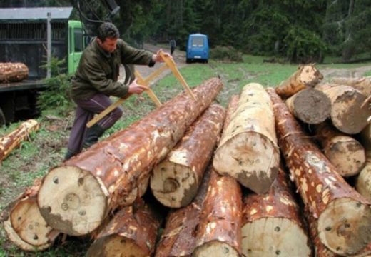 Paradoks u JP “Šume RS”, ogrev skuplji od trupaca