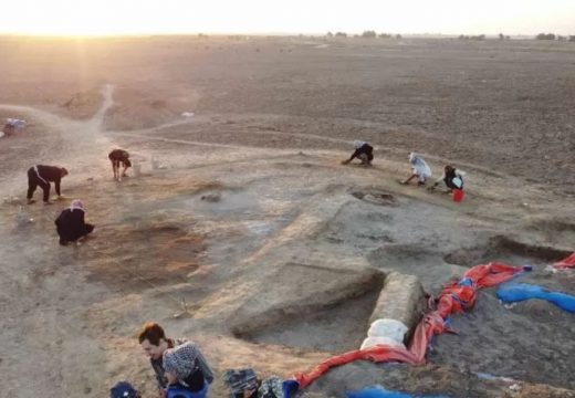 Otkrivena kafana stara 5.000 godina