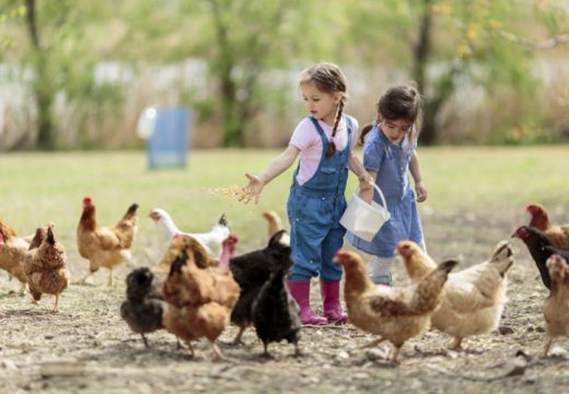 Bebama na selu 1.000 KM podrške