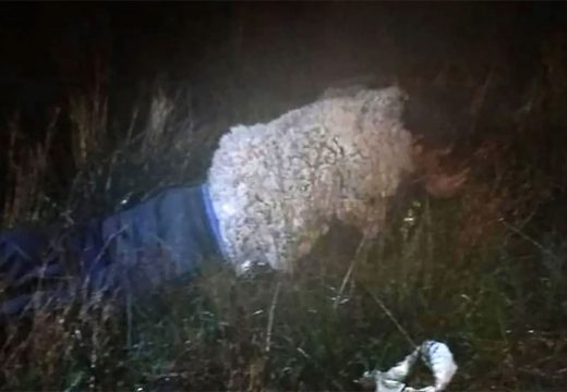 Prerušen u ovcu pokušao pobjeći iz zatvora