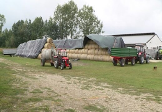Većim agrarnim budžetom,veći i podsticaji