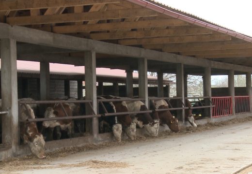 Isplaćeno 2.446.475,00 KM za podsticaje