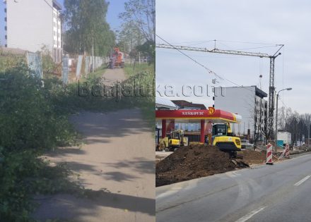Prvo posjekli drvored, a sad izmještaju autobusku stanicu