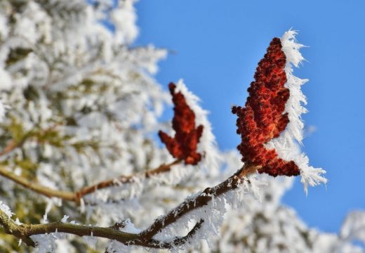 Danas pretežno sunčano i suvo vrijeme