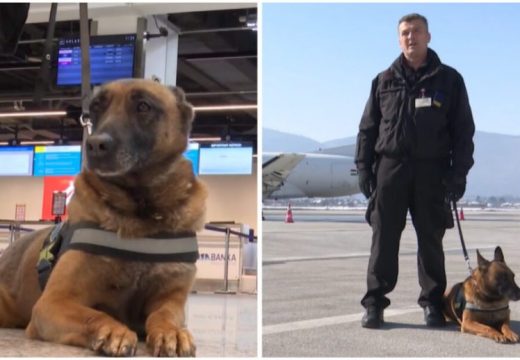 UŠTIPAK IDE U PENZIJU: Najbolji pripadnik Granične policije BiH ima četiri noge (VIDEO)