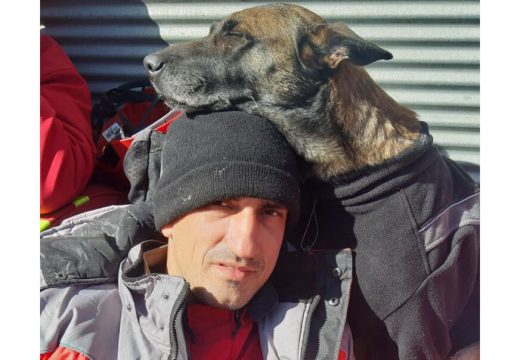 Evo kako je naša Tora postala NAJBOLJI PAS TRAGAČ u turskim ruševinama (FOTO, VIDEO)