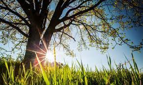 Danas sunčano i toplo, uz umjerenu oblačnost