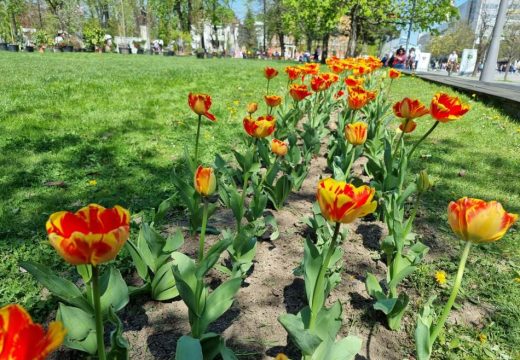 Proljeće zvanično stiže u ponedjeljak: Evo kakvo nas vrijeme očekuje do kraja marta