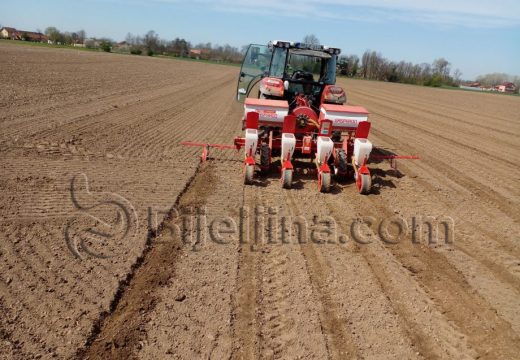 Sijali bi ali nemaju gdje