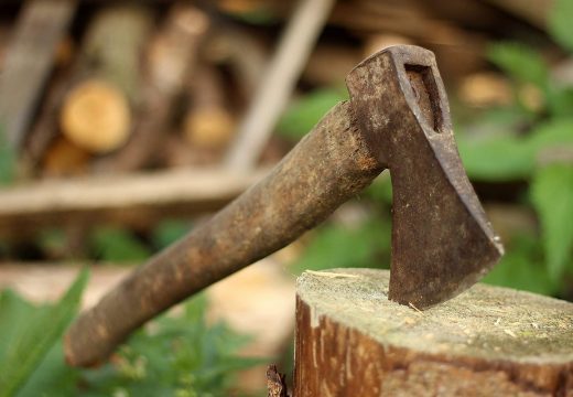 Kažnjen sa 1.000 KM jer je udario oca i zamahnuo sjekirom na njega