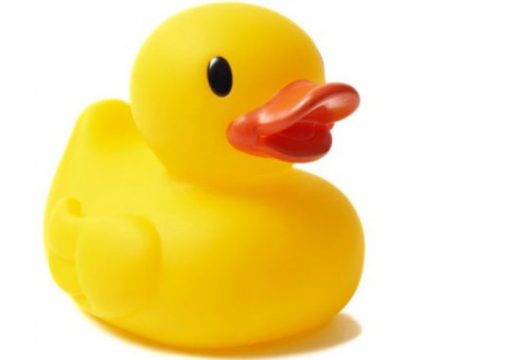 Osuđen zbog kalendara sa gumenom patkom