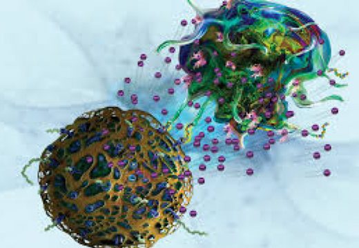 Veliko oktriće belgijskih naučnika u borbi protiv raka