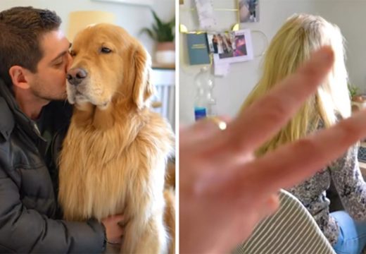 Pokazao kako se pozdravlja sa psom, a kako sa ženom, video nasmijao milione