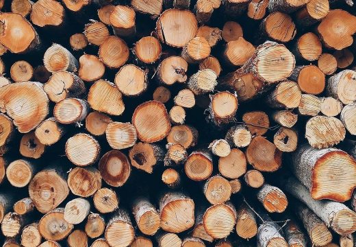 BiH više uvezla nego izvezla drva