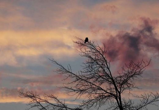 Danas oblačno :Ponegdje moguća kiša