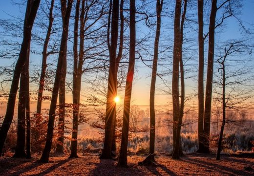 Danas sunčano uz umjerenu oblačnost