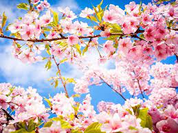 Danas pretežno sunčano i toplije vrijeme