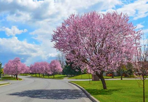 Danas sunčano i još toplije