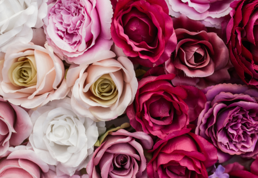 Srećan 8. mart – Međunarodni dan žena!